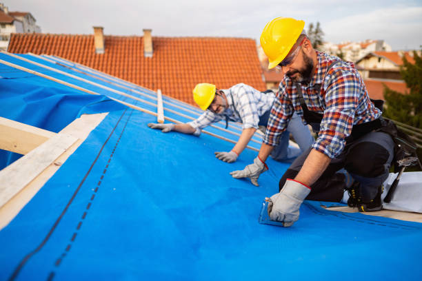 Professional Roofing Contractor in Sylva, NC